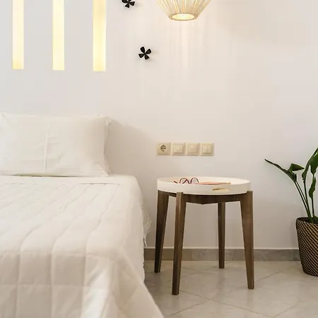 Exclusive Appartamento Naxos City